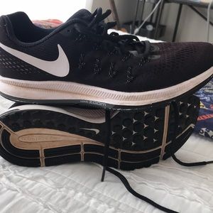 Nike Zion Pegasus 33